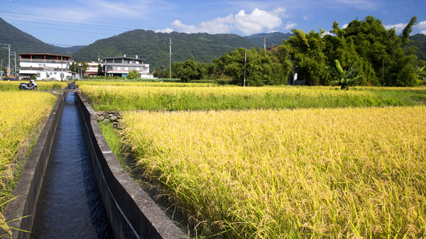 灌溉溝渠 Irrigation facilities