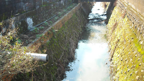 Enforcement action after the removal of vegetable and melon sheds along the canal road.