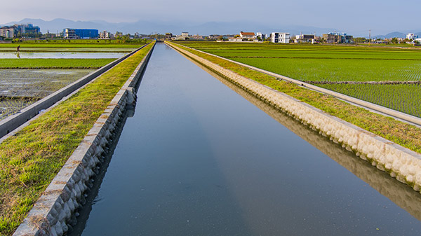 茅埔排水改善工程