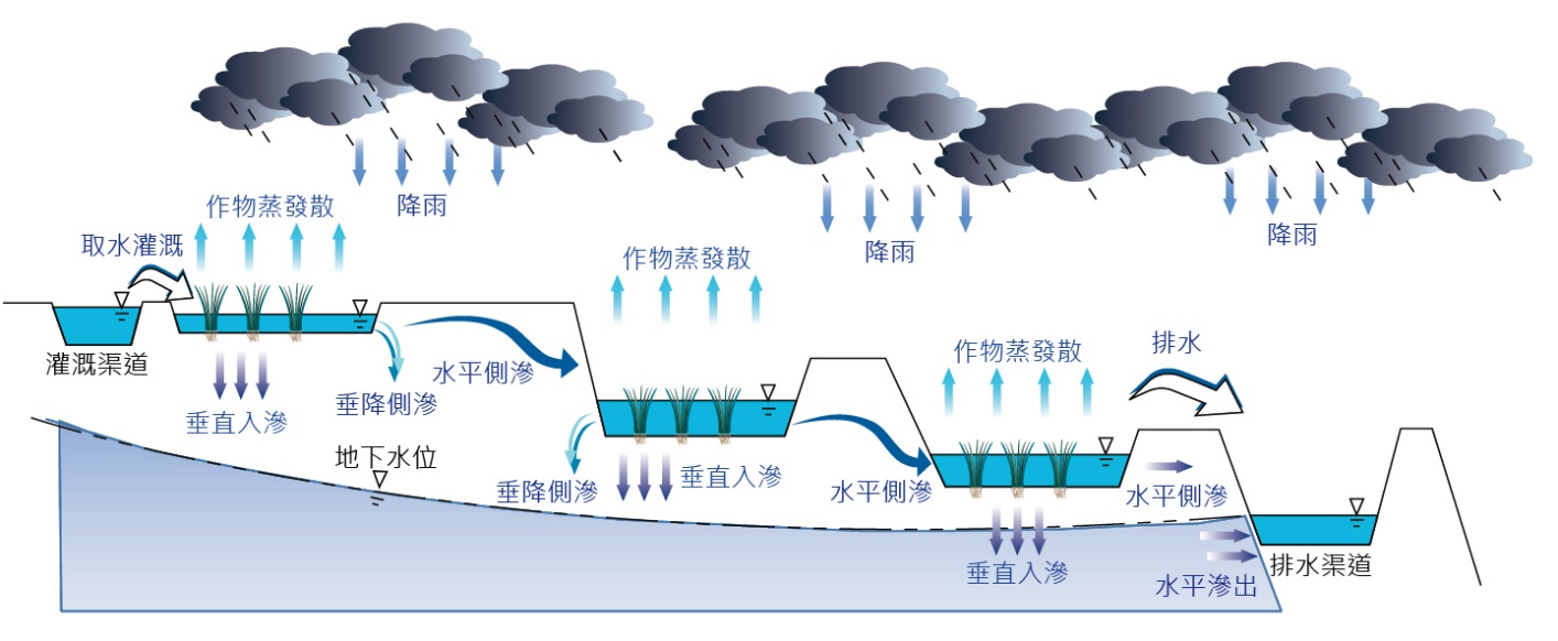 水田補助地下水示意圖