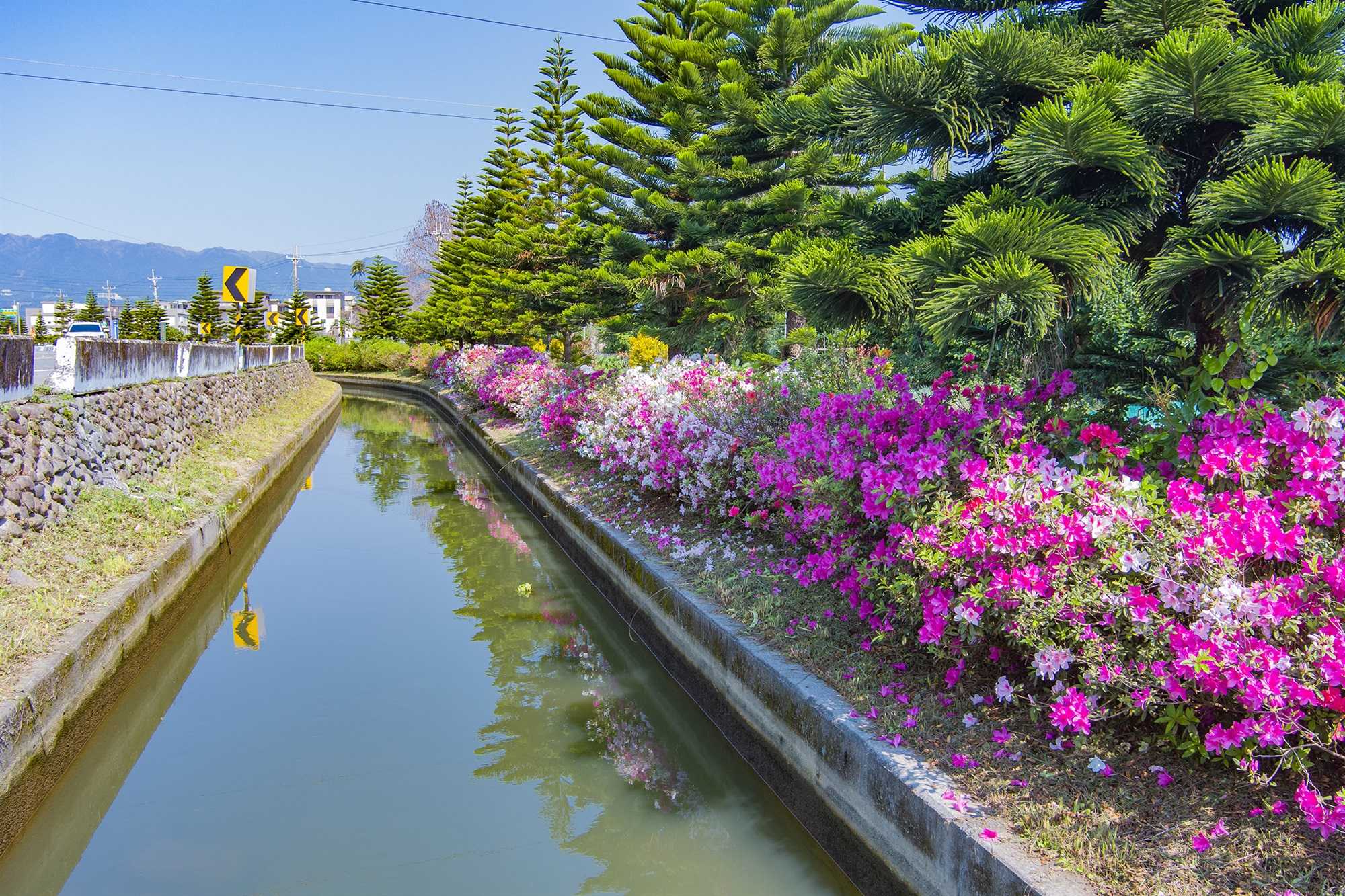 充館圳 圳路綠美化